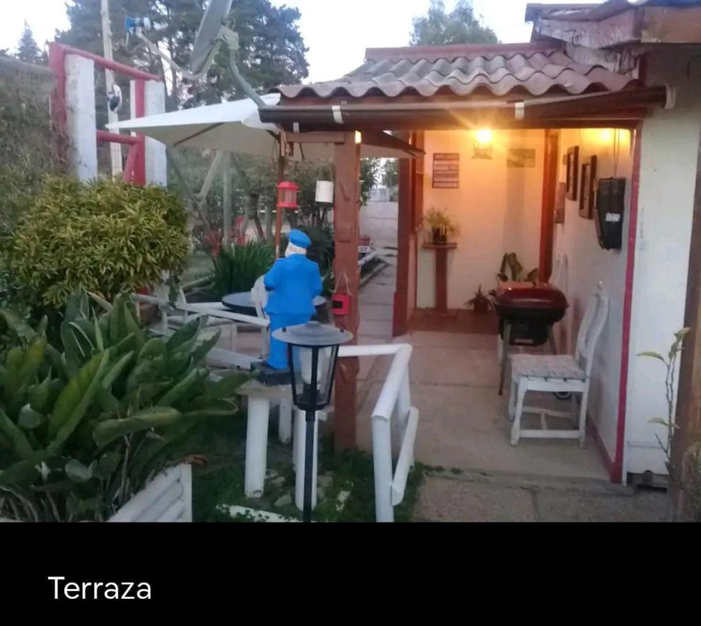 La En La Isla Isla Negra