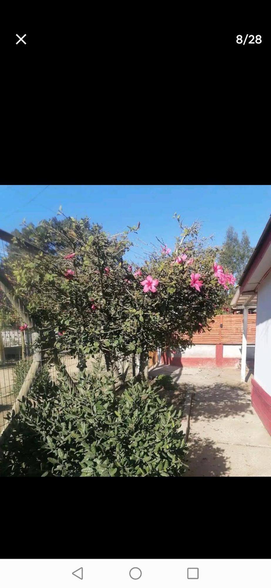 La En La Isla Casa de férias Isla Negra